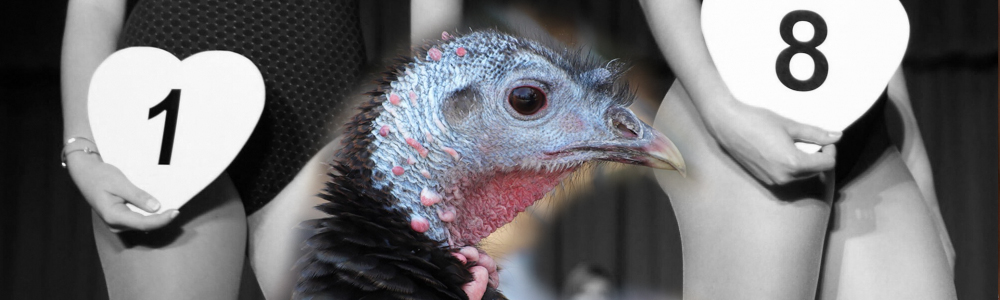 Article : Miss GlouGlou