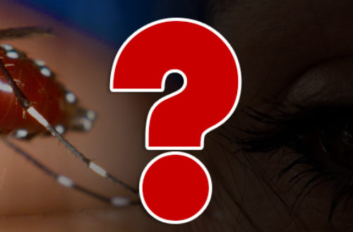 Article : Chikungunya : Sa sa ye sa?