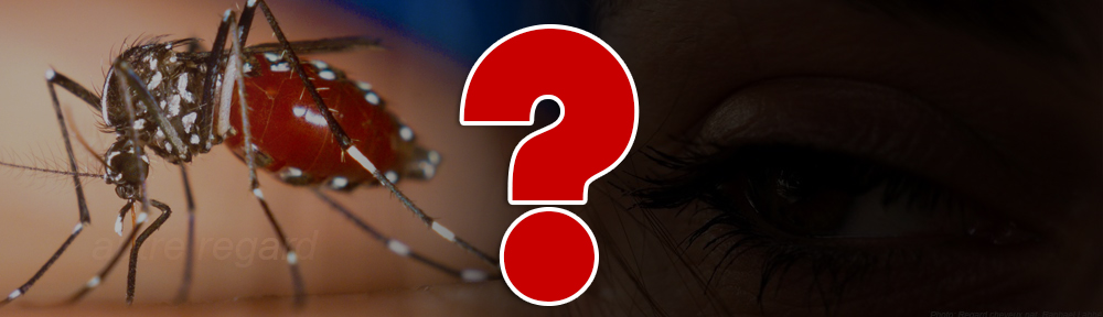 Article : Chikungunya ? Ça peut être dengue !